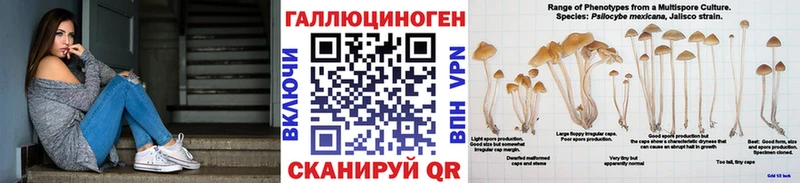 дарнет шоп Волоколамск Псилоцибиновые грибы Psilocybe